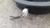 Alto Falante Dianteira L.D Hyundai Creta 17 a 20 COM DETALHE - loja online