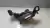 Suporte Módulo Central Elét Bmw 328i 2013 A 2016 12907604347 - comprar online