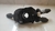 Chave De Seta Fiat Stilo 2003 a 2011 (3) - comprar online