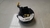 Hard Disk Honda New Civic Lxl 2007 A 2011