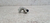 Sensor Fase Citroen C4 2.0 2008 09 10 11 12 13 Original - loja online