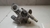 Carcaça valv termostatica Mitsubishi Lancer 2.0 2011/2015(2) - loja online