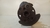 Virabrequim Ford Focus 2.0 16V Std 2008 A 2014 #1 na internet