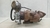 Turbina Kia Bongo 2.5 Diesel 2005 - 2012 | M27KTT2