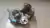 Caracol Turbina Vw Amarok Bi turbo 2015 na internet