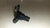 Sensor Fase Fiat Toro 2.0 2019 2020 - comprar online