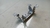 Imagem do Suporte Sensor Antena Keyless Hyundai Veloster 1.6 2013 (1)
