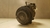 Compressor Ar condicionado Hyundai Hb20 1.0 3cc 2012 a 2019 - Alpha Auto Peças Sorocaba