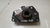Coxim cambio Citroen C4 2.0 2007 a 2013