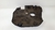 Tampa Capa Motor Bmw X1 2.0 2018 2019 - loja online