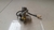 Miolo Chave Tampa Traseira Toyota Camry 2007 2008 na internet