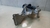 Alavanca Marcha Honda Civic Manual 2009 2010 2011 - comprar online