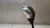 Alavanca Marcha Peugeot 208 2013 a 2019 Manual - comprar online