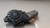 Motor maquina vidro dianteira esquerda hyundai Tucson 2007 a 2011 na internet