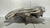 Farol Dianteiro Toyota Corolla 2005 a 2008 Máscara Cromada - loja online