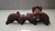 Coletor Escape Toyota Hilux 3.0 2012 A 2015
