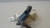 Válvula Solenoide Turbina Toyota Hilux 2.8 2021 - loja online