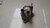 Flange valvula termostatica Toyota Corolla 2009 a 2014 na internet