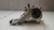 Carcaça valvula termostatica Nissan Sentra 2008 a 2013 (2) na internet
