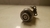 Valvula Valvetronic Bmw 320i 2.0 F30 2012 a 2016 - Alpha Auto Peças Sorocaba