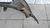 Parachoque Dianteiro Ford Fiesta 2011 -2012/ Recuperado - loja online