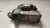 Motor arranque Vw Golf Tsi 1.4 2014 a 2019 211cv na internet