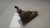 Refletor parachoque Traseiro E. Ford Focus Hatch 2000 a 2008 na internet