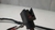 Chicote Alternador Vw Tiguan Tsi 2.0 2009 a 2015 C/ Detalhe - Alpha Auto Peças Sorocaba