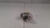 Miolo Chave Porta malas toyota corolla 2013