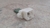 Resistencia Ar Condicionado Ford Ecosport 2002 a 2015 - comprar online