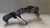 Suporte Farol Esquerdo BMW X1 2015 - comprar online