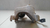 Suporte Compressor De Ar Toyota Hilux 3.0 2015 - comprar online