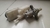 Cilindro Mestre C/reservatório Toyota Corolla 2.0 2015-2019 - comprar online