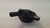 Sensor Eletromagnético Porsche Cayenne 3.0 V6 2018 2019 (2) - loja online