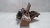 Suporte Tensor Alternador Fiat Grand Siena 1.4 2013 - Alpha Auto Peças Sorocaba