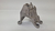Suporte Coxim Motor Direito Bmw 320i 2.0 Turbo B42 2022 - comprar online