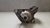 Motor Arranque Toyota Corolla 1.8 2009 a 2014 C/Detalhe - loja online