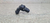 Sensor Fase Fiat Mobi 1.0 2017 18 19 20 Original - loja online