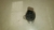 Valvula solenoide jac J3 1.4 2011 a 2013 28212159 - Alpha Auto Peças Sorocaba