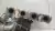 Turbina Vw Jetta Tsi 2.0 2011 2012 | 06J145713K