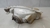 Farol Esquerdo Toyota Corolla 2001 C/Detalhe - comprar online