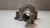 Carcaça Bomba D'Água Citroen C4 Pallas 2.0 2008 a 2013