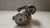 Motor Arranque Ford Ecosport 1.6 2012 a 2017 8V2111000BE na internet