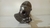 Virabrequim Hyundai Sonata 2.4 16V Std 2010 2014 #1