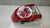 Lanterna Esquerda Toyota Corolla 2009 a 2014 Com Detalhe - comprar online