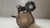 Motor Arranque Toyota Yaris 1.5 2018 a 2021 281000Y320 na internet