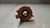 Hard Disk Fiat Palio 2018 Original na internet