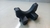 Suporte Caixa Evaporadora Bmw X6 XDrive 4.4 v8 50i 2009 2010 - comprar online