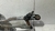 Motor Limpador Parabrisa Ford Ecosport - 2014 - F006 D20 603 na internet