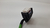 Chicote Motor Bmw 320i B42 2022 - loja online